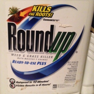 New research shows WEEDS are not the only thing killed by Roundup....